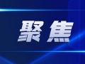 最新回响爆料新闻报道,揭秘事件背后惊人真相