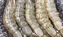 厄瓜多尔大虾爆料视频大全,揭秘视频大全背后的真相与争议